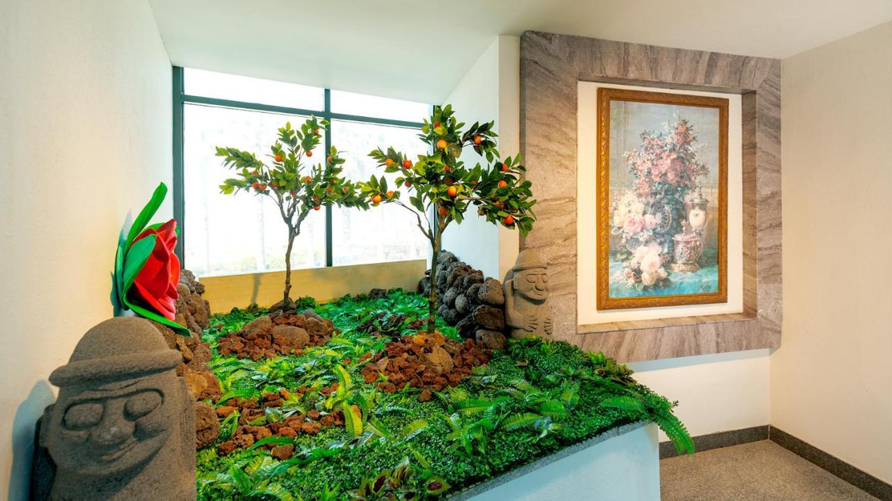 Sea Cliff Hotel جيجو المظهر الخارجي الصورة
