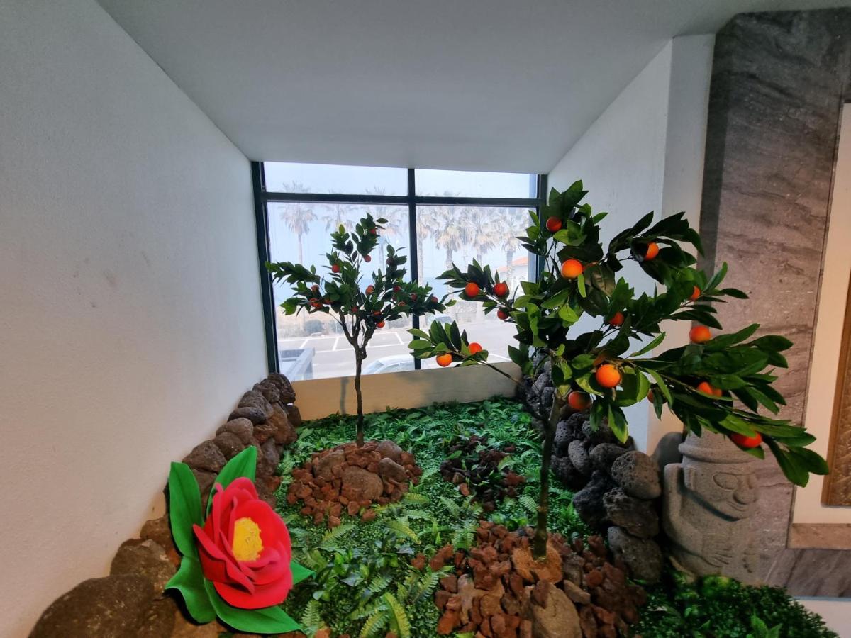 Sea Cliff Hotel جيجو المظهر الخارجي الصورة